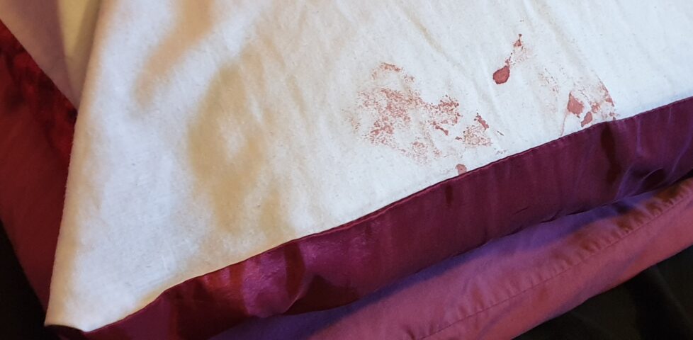 Blood on a pillow