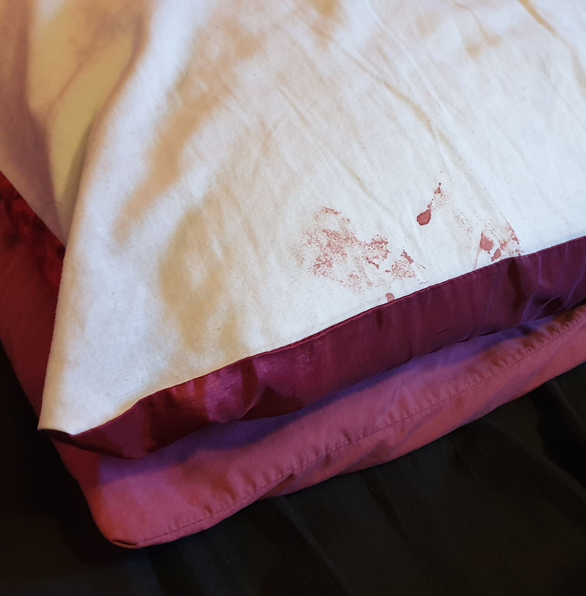 Full image of Blood on a pillow