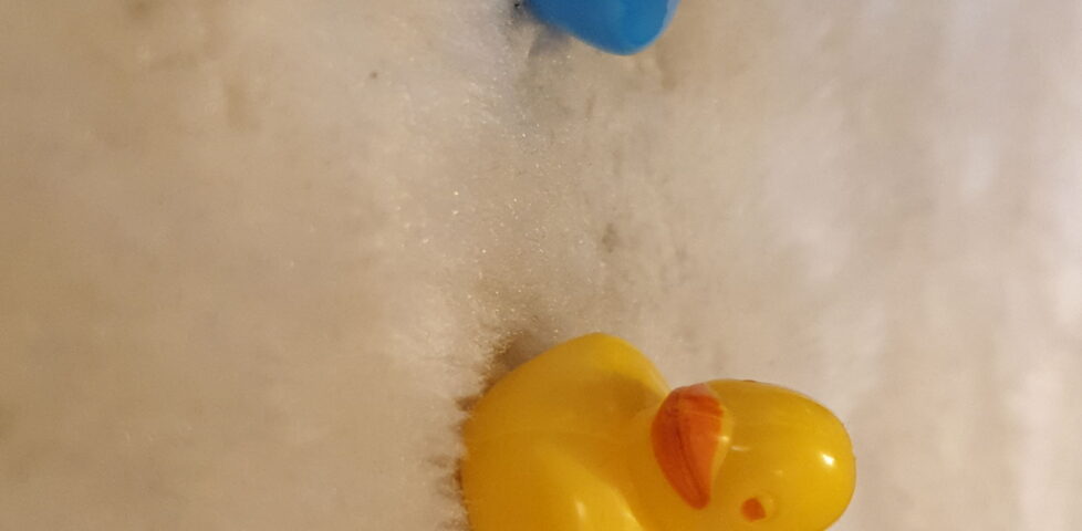 Two small plastic ducks; one blue, one yellow.