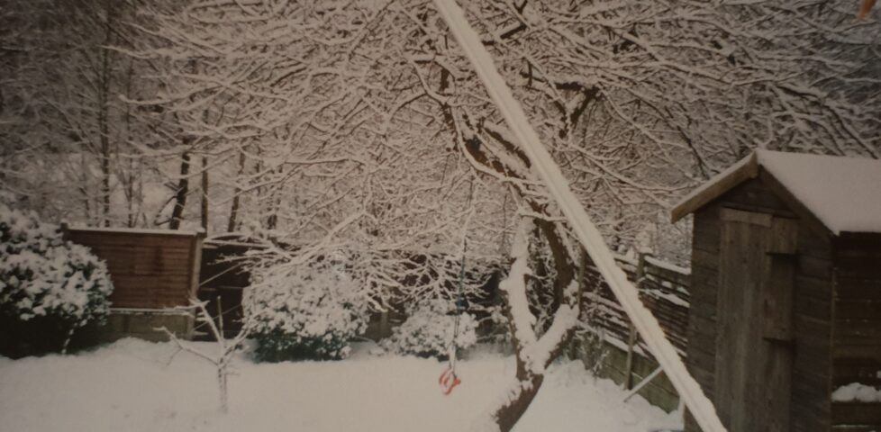 Snow in Dan's mother's garden