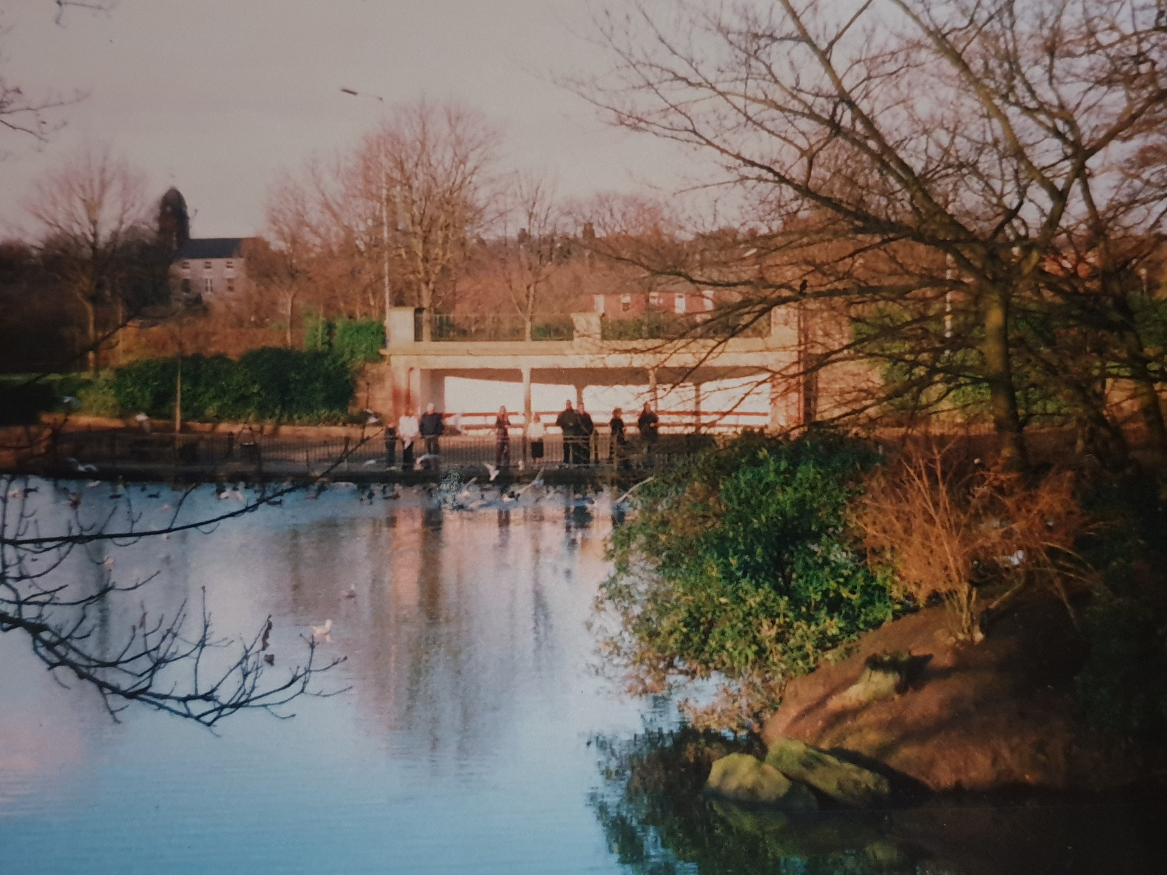 Full image of Feeding the ducks
