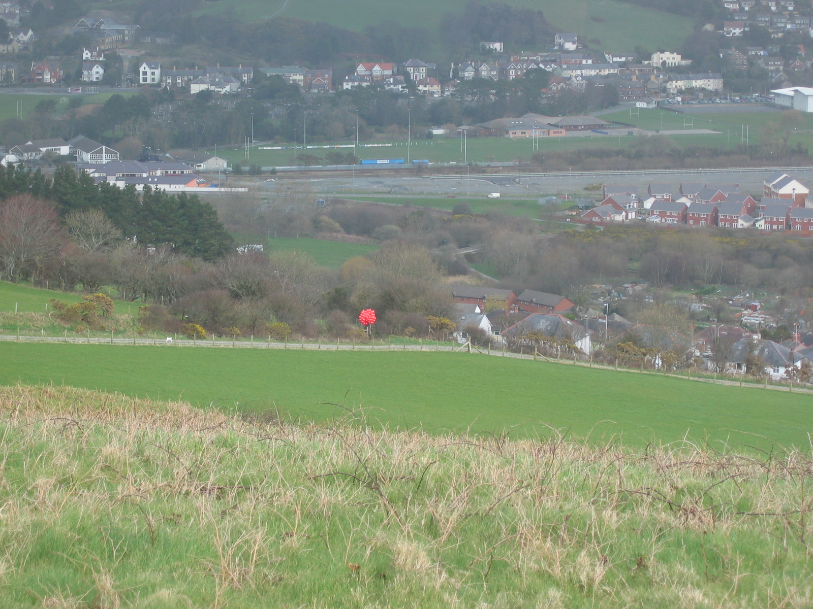 Full image of Balloons in the distance
