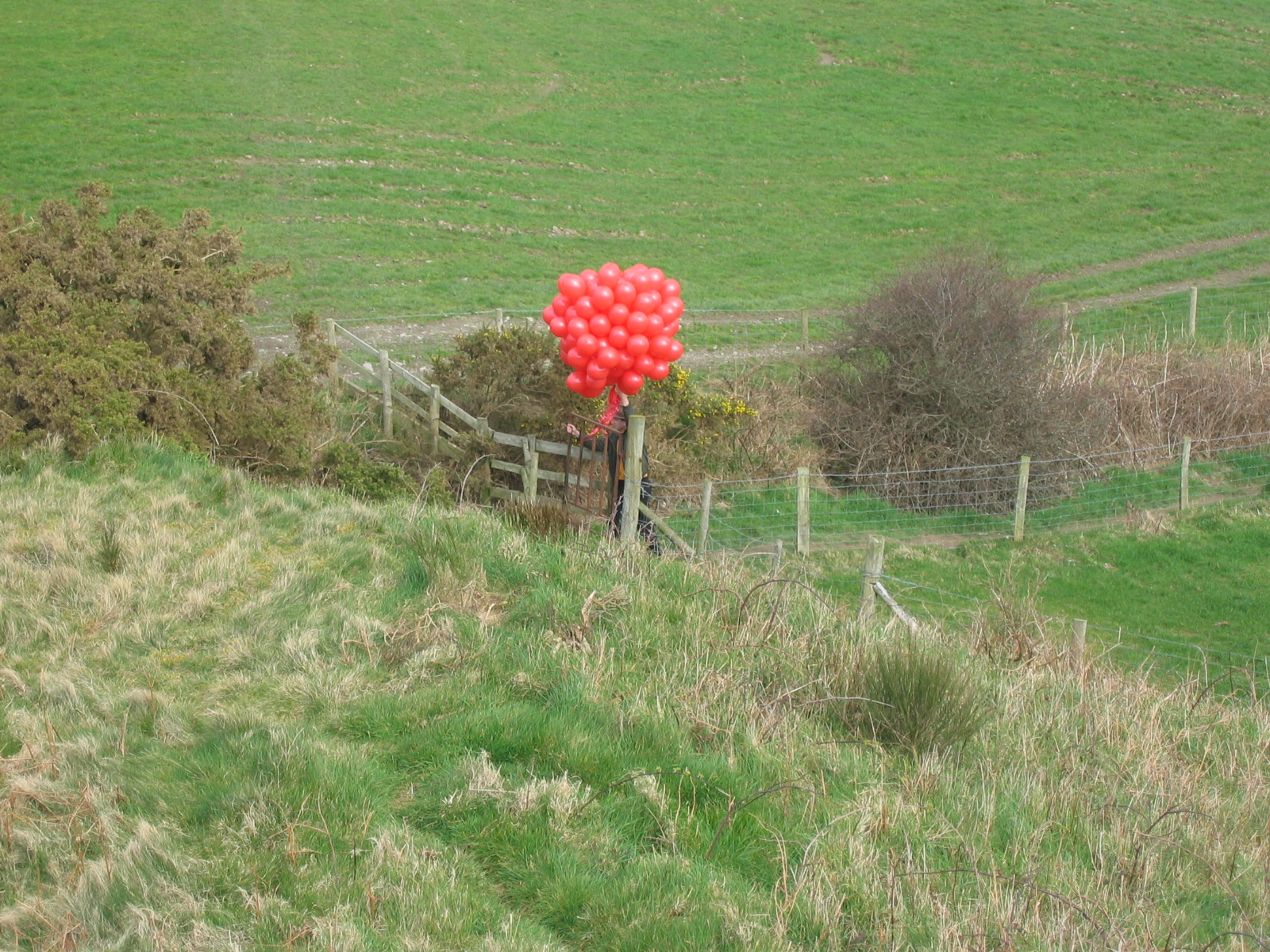 Full image of Balloons getting closer