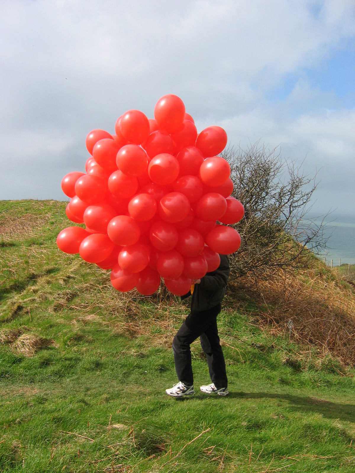 Full image of There's a struggle to control the balloons in the wind at the top of the hill