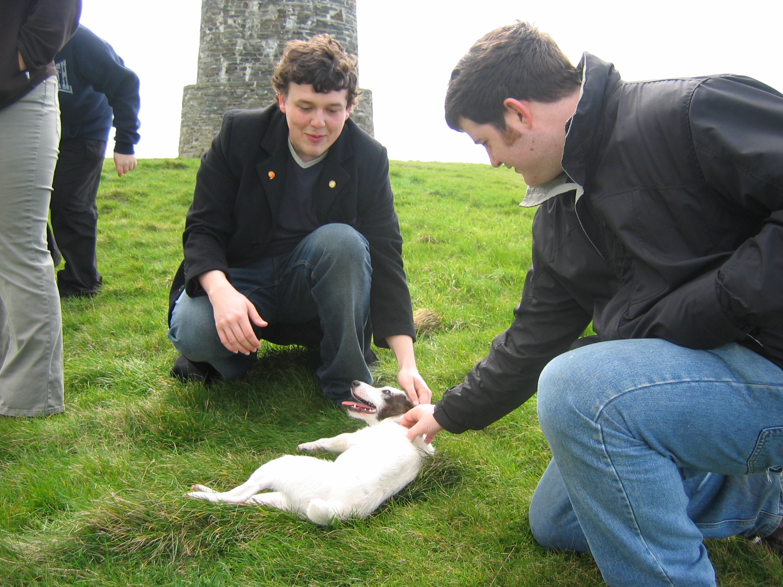 Full image of Petting Timmy Troma