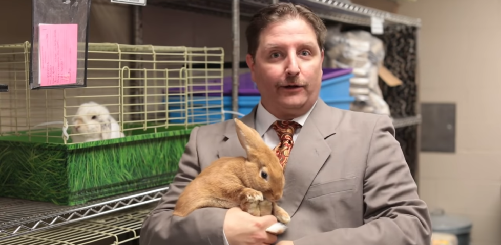 Image representing post: Cat Salesman (Sioux Falls Area Humane Society)
