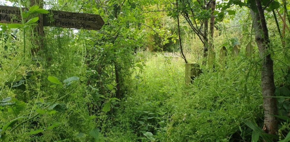 This footpath belongs to nature, now.