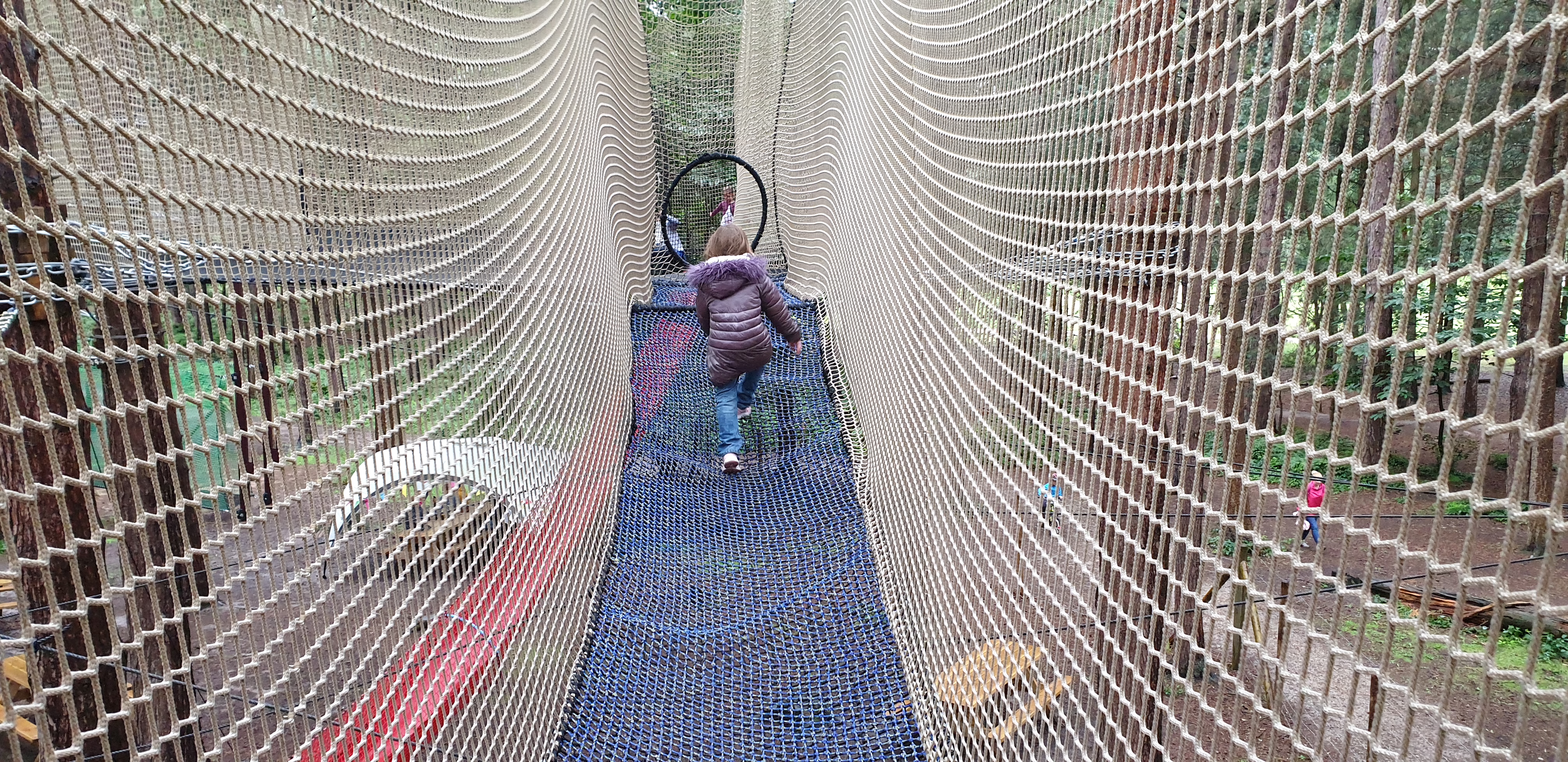 Full image of Annabel climbs up to the top nets.