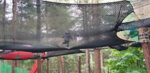 Annabel runs across the top nets.