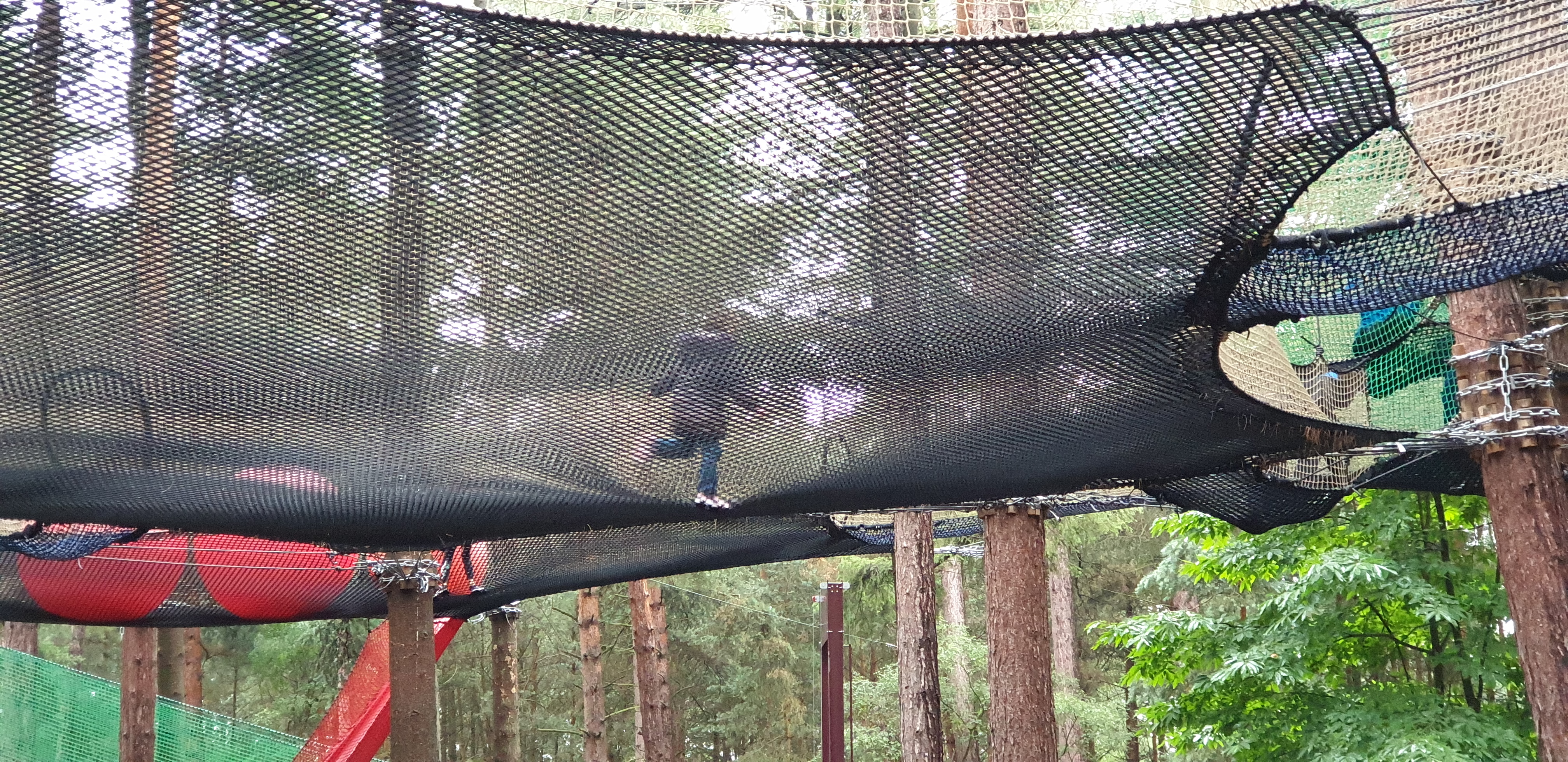 Full image of Annabel runs across the top nets.