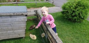 John pets a chick.
