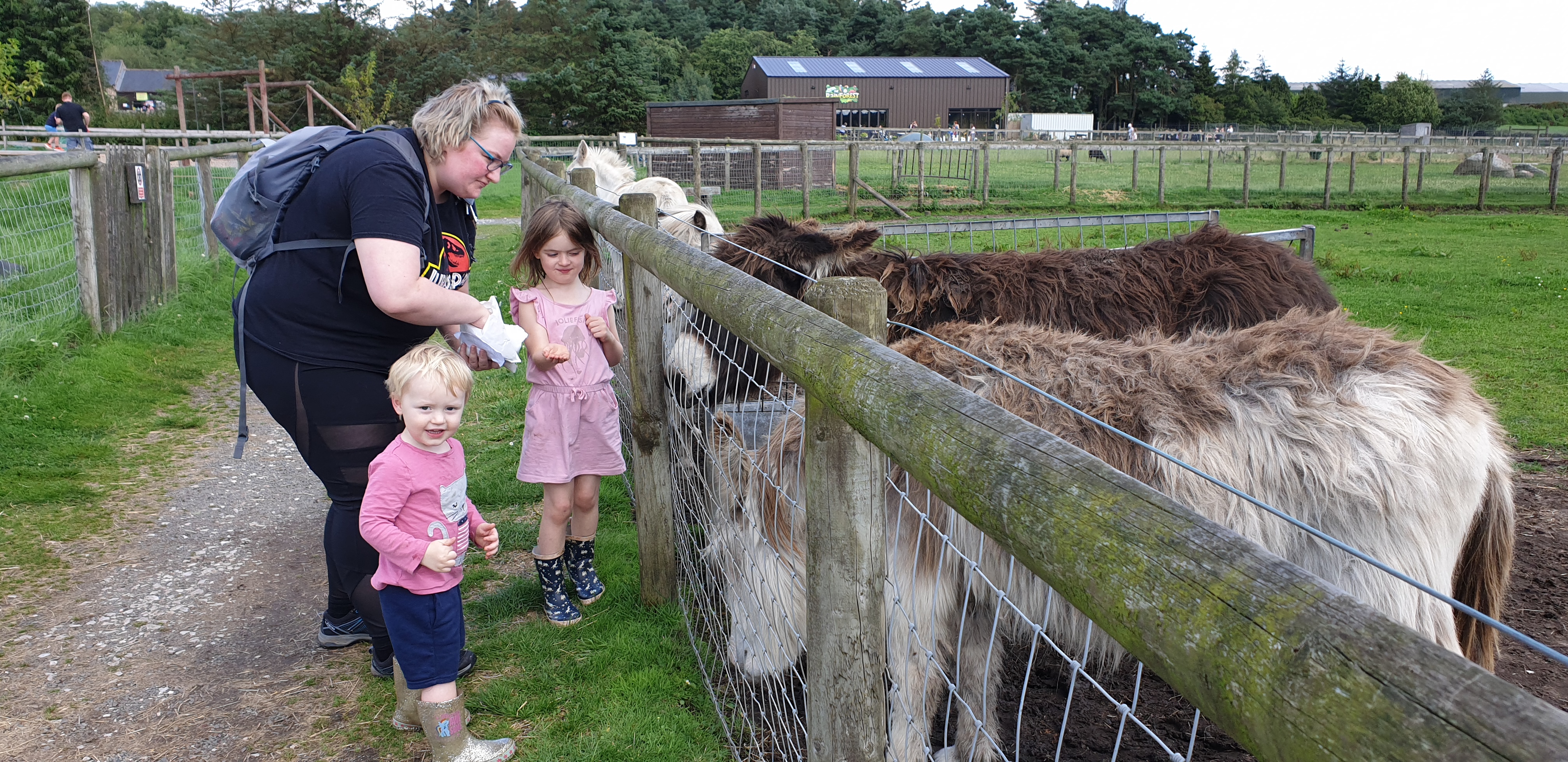 Full image of Becky, Annabel and John at the petting zoo.