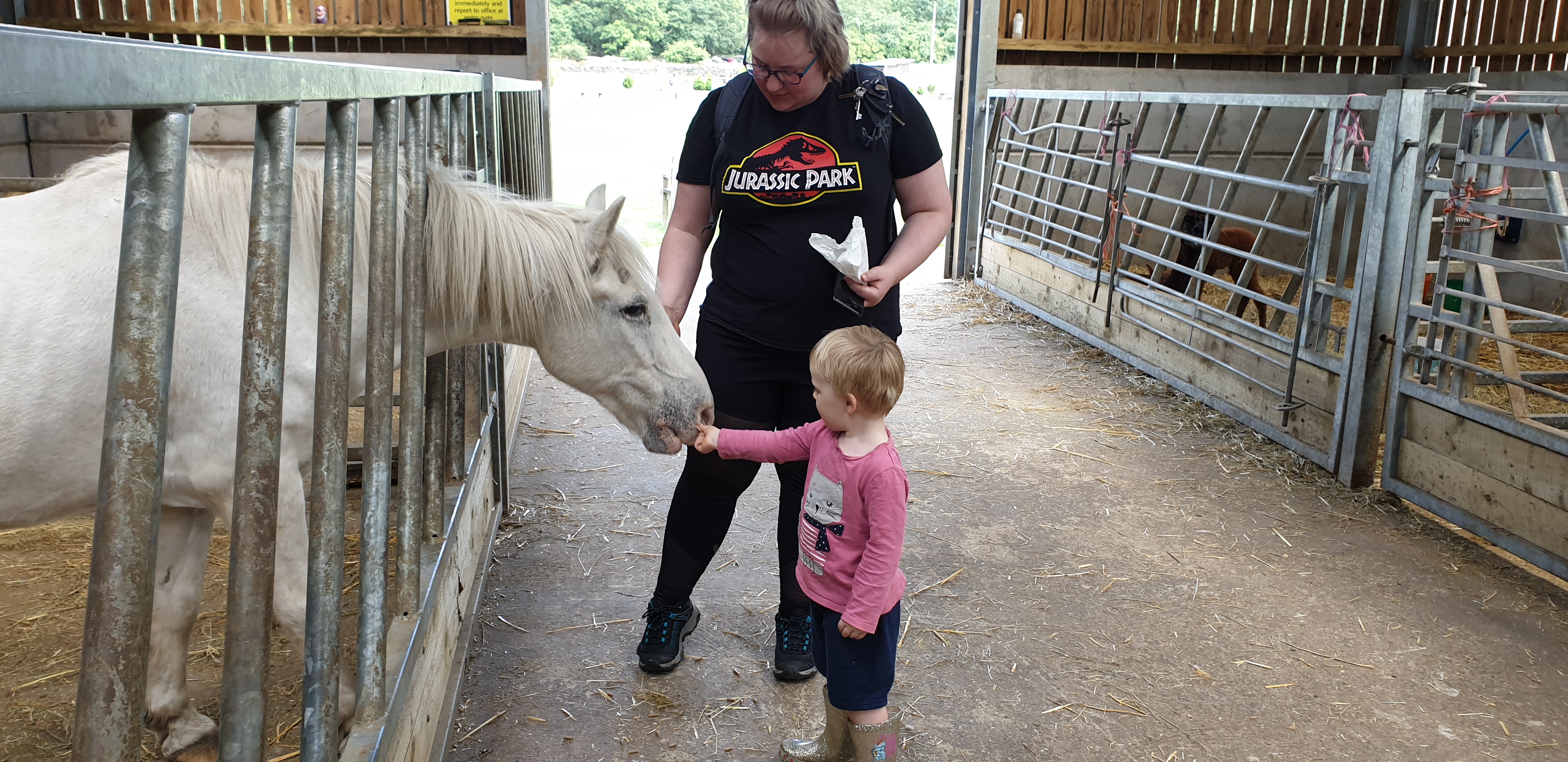 Full image of John and Becky pet a horse.
