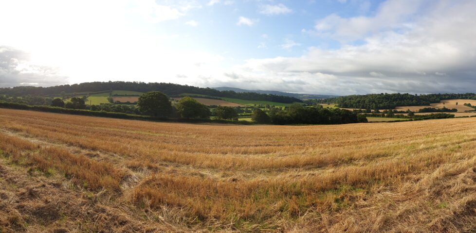 Sunshine over the valley