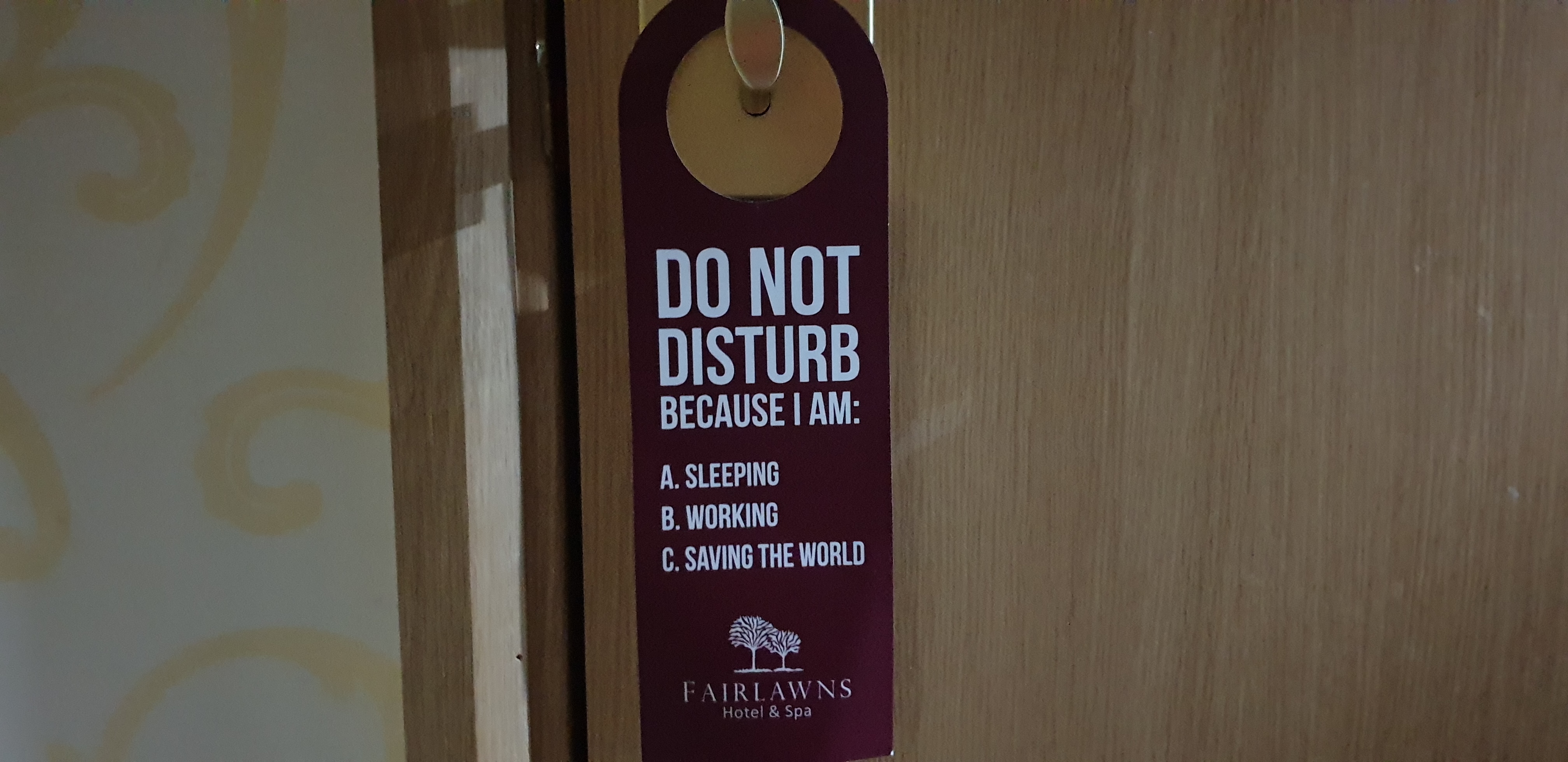 Full image of Do Not Disturb sign with reasons: Sleeping, Working, Saving the World.