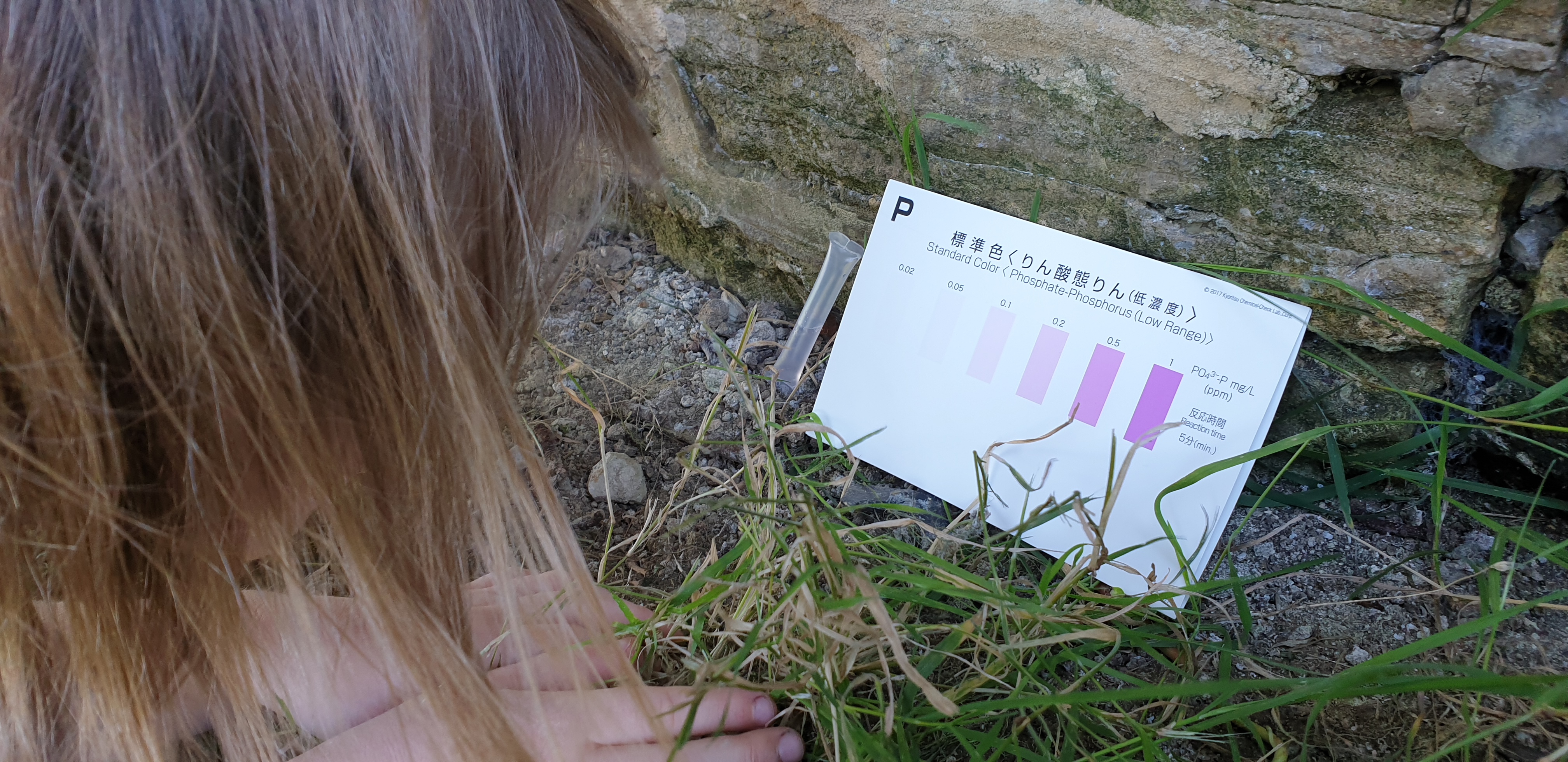 Full image of Annabel compares her sample to the colour chart.