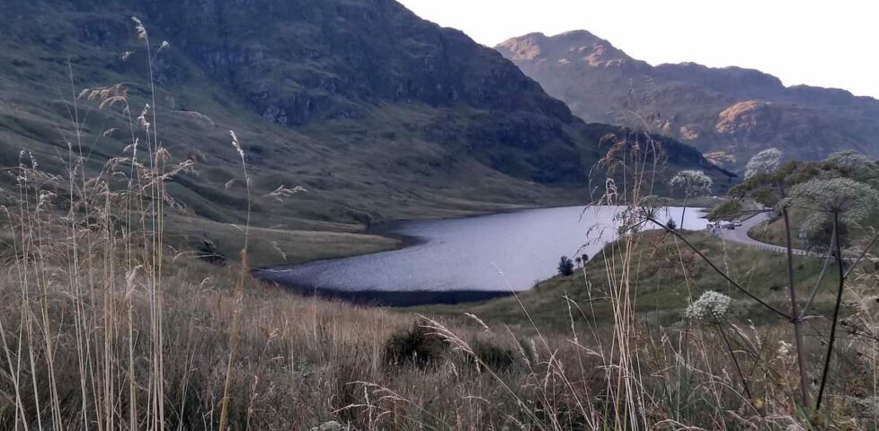 Argyll Forest, as photographed by Beverley Newing