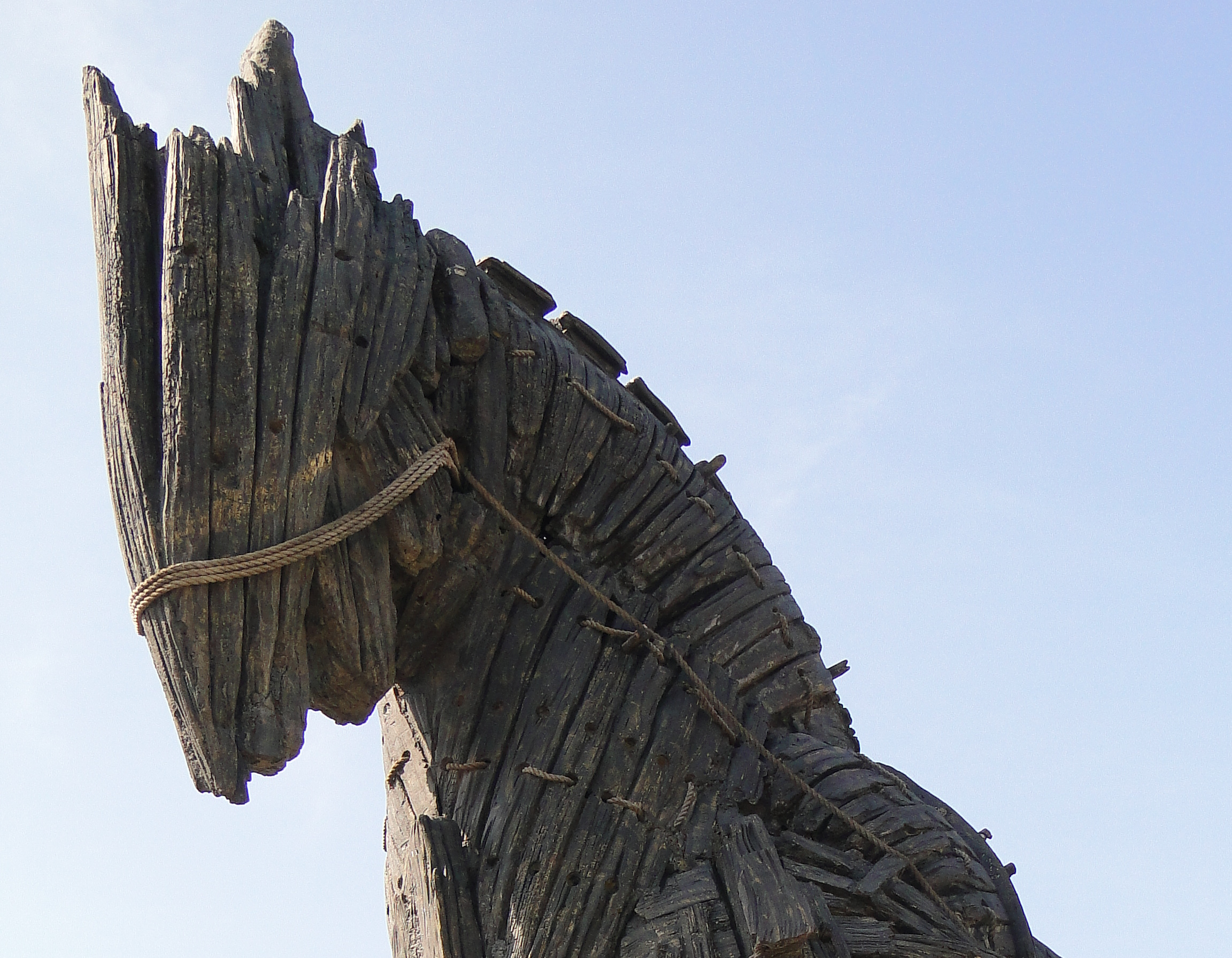 Full image of Replica Trojan horse.