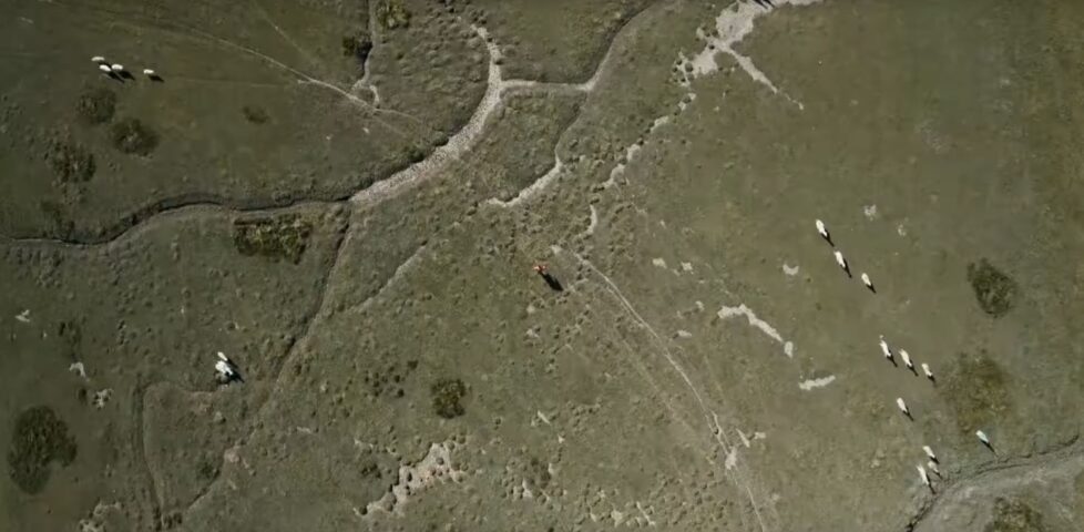Image representing post: Watch UK's Natural Land Diminish in 100 Seconds