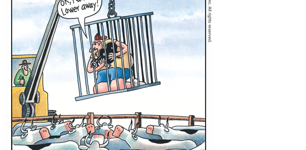 The Far Side comics in Dan's RSS reader.