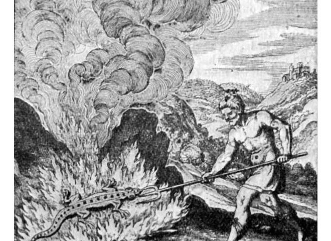Image representing post: The Legend of the Homicidal Fire-Proof Salamander