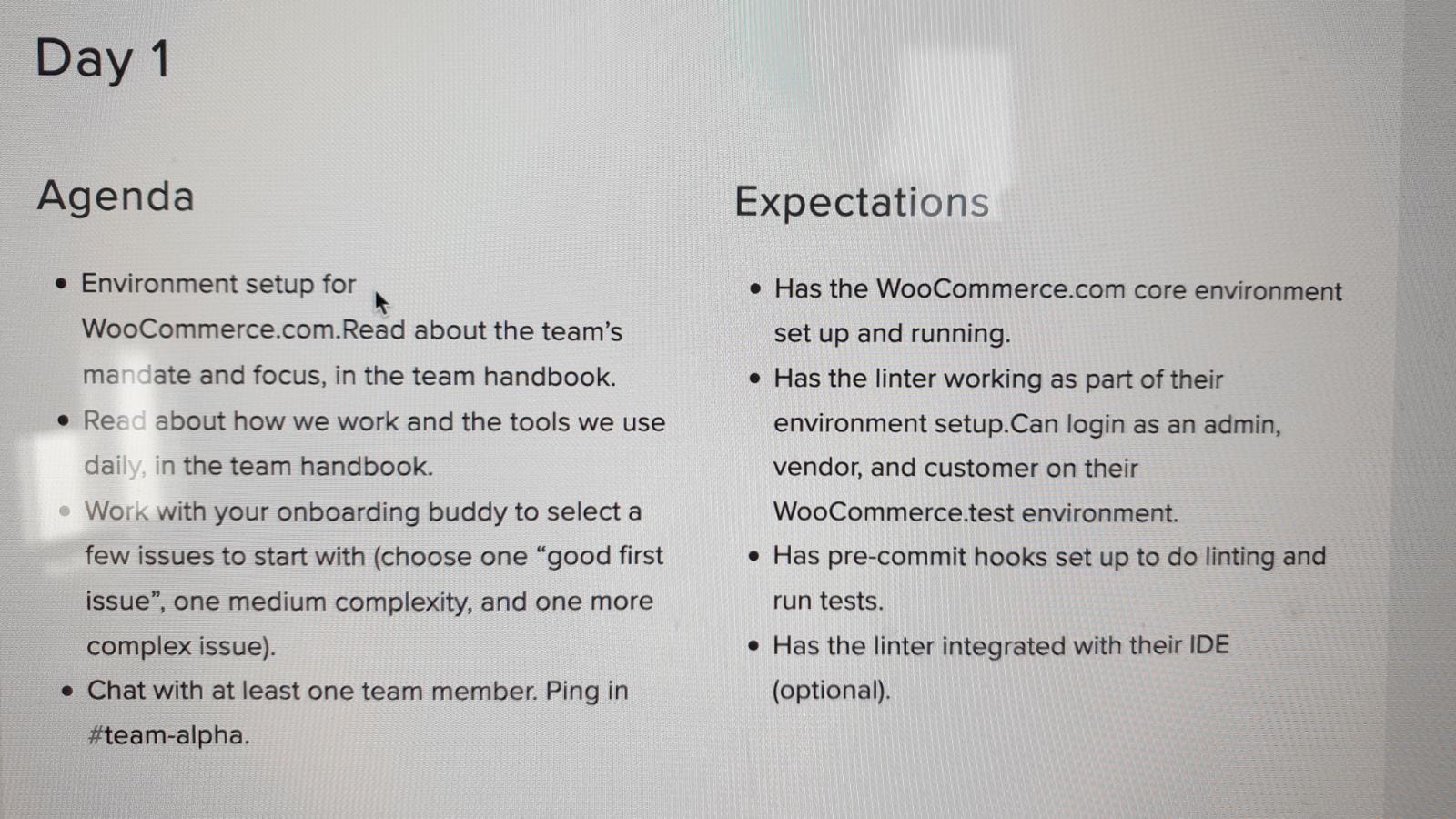 Full image of Agenda and Expectations Checklist for Dan's first day at Automattic