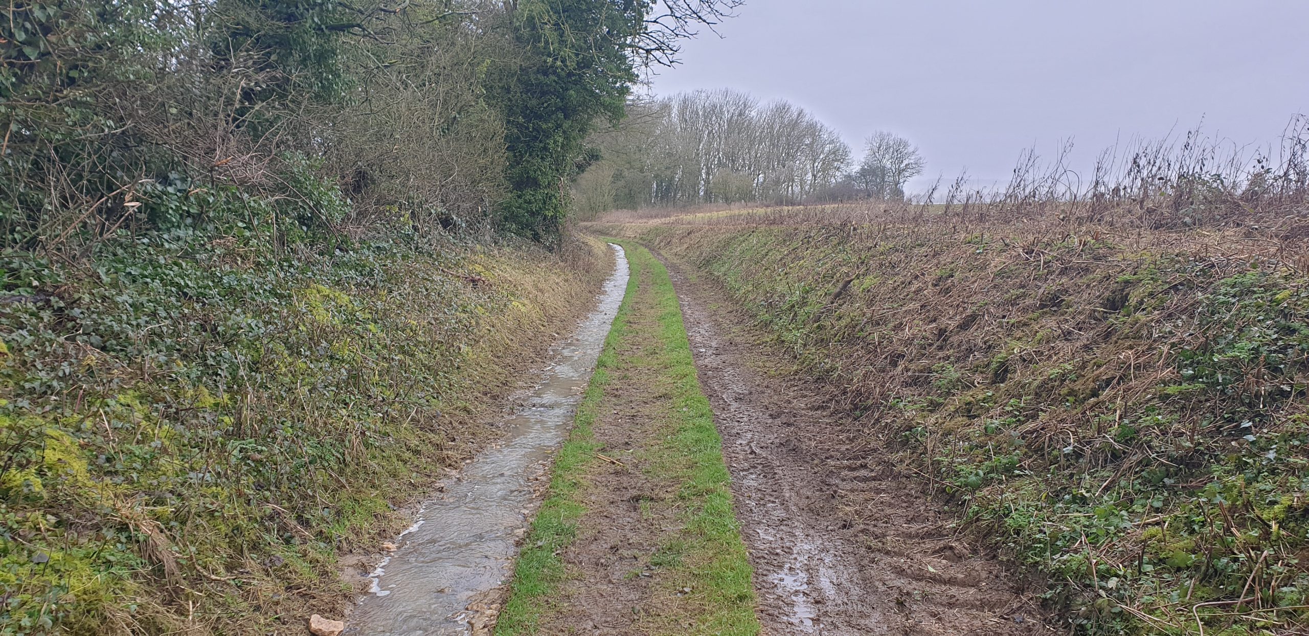 Full image of This path has turned into more of a river