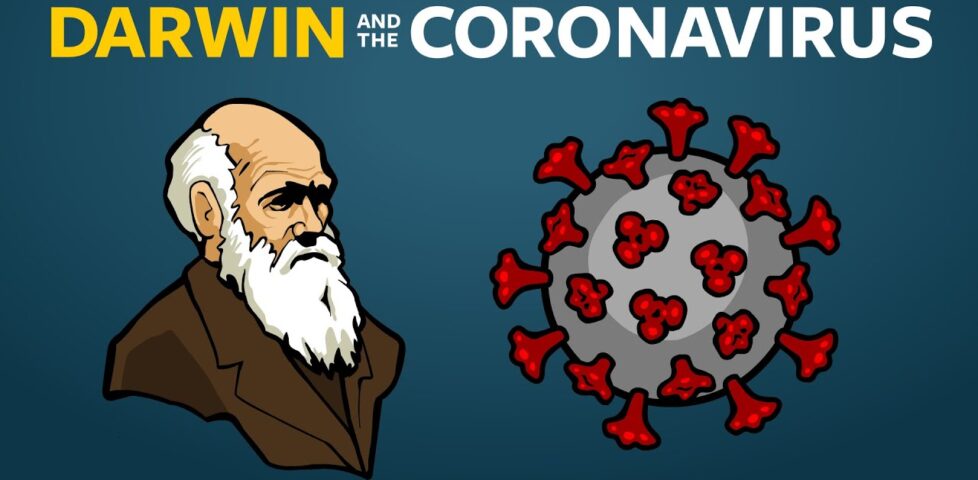 Image representing post: Where Do New Viruses Come From?