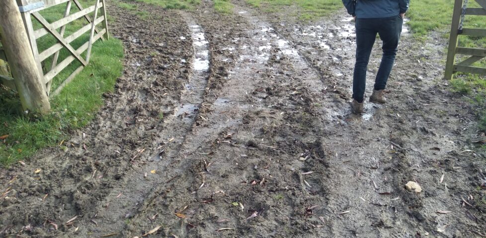 Image representing post: Thames Path 2