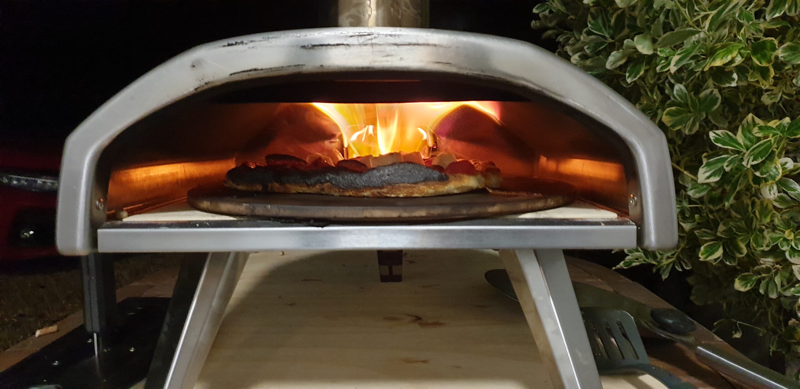 Full image of Pizza on fire in oven.