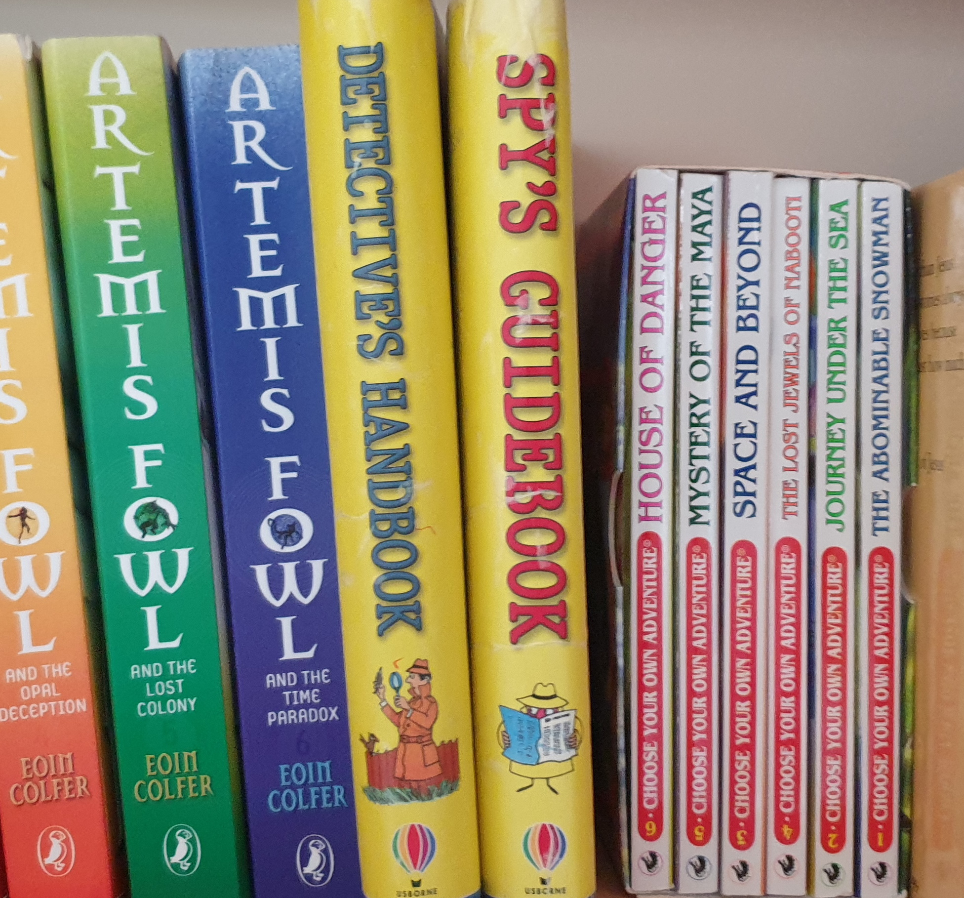 Full image of Detective's Handbook andSpy's Guidebook on a child's bookshelf.