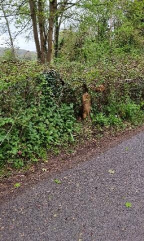 Image representing post: Couldn't find GC1VQ7G Pooh Sticks Bridge