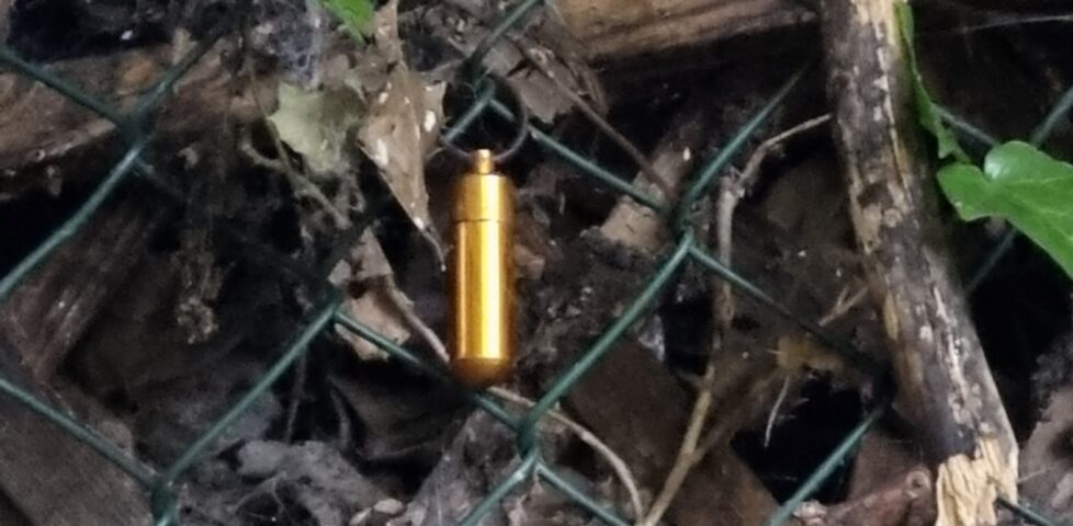 Geocache hanging on a fence, near holly leaves