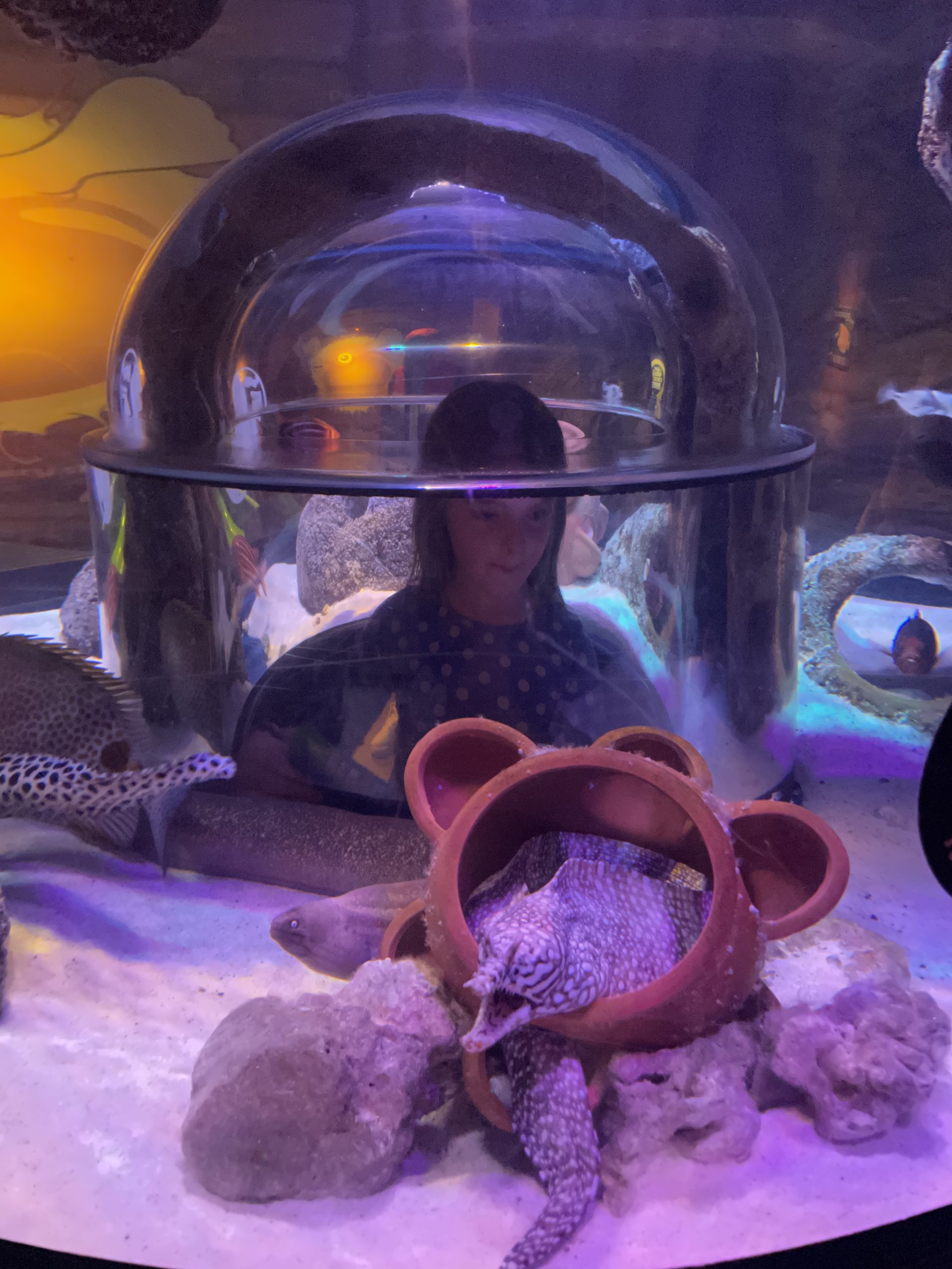 Full image of Child peering into a fishtank using a dome underneath it.