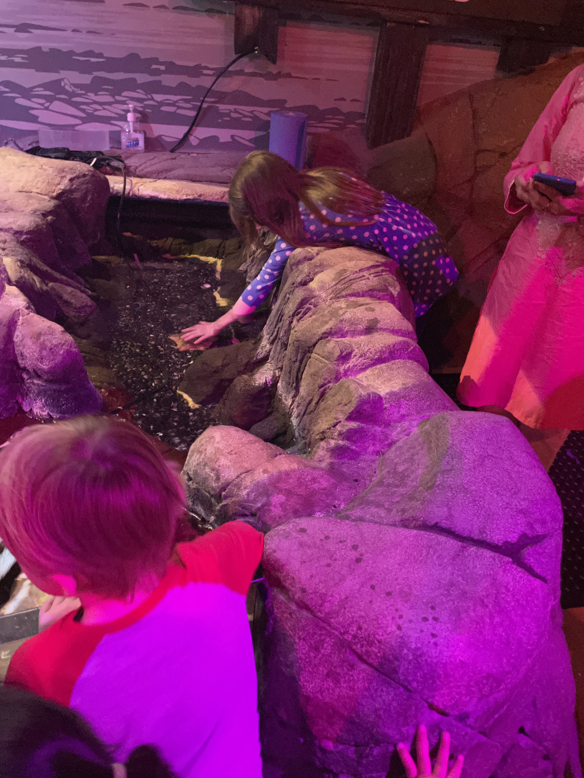 Full image of Children pet a starfish
