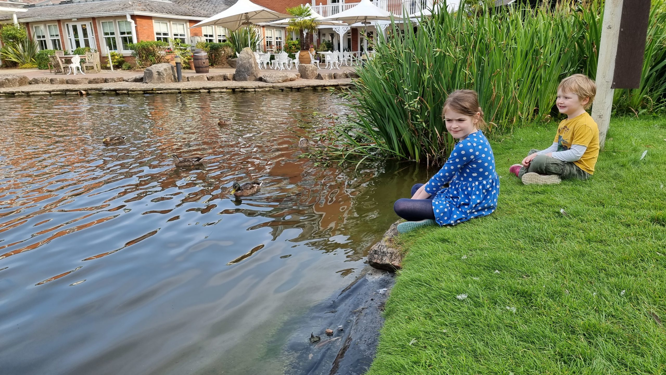 Full image of The kids by the pond between the hotels.