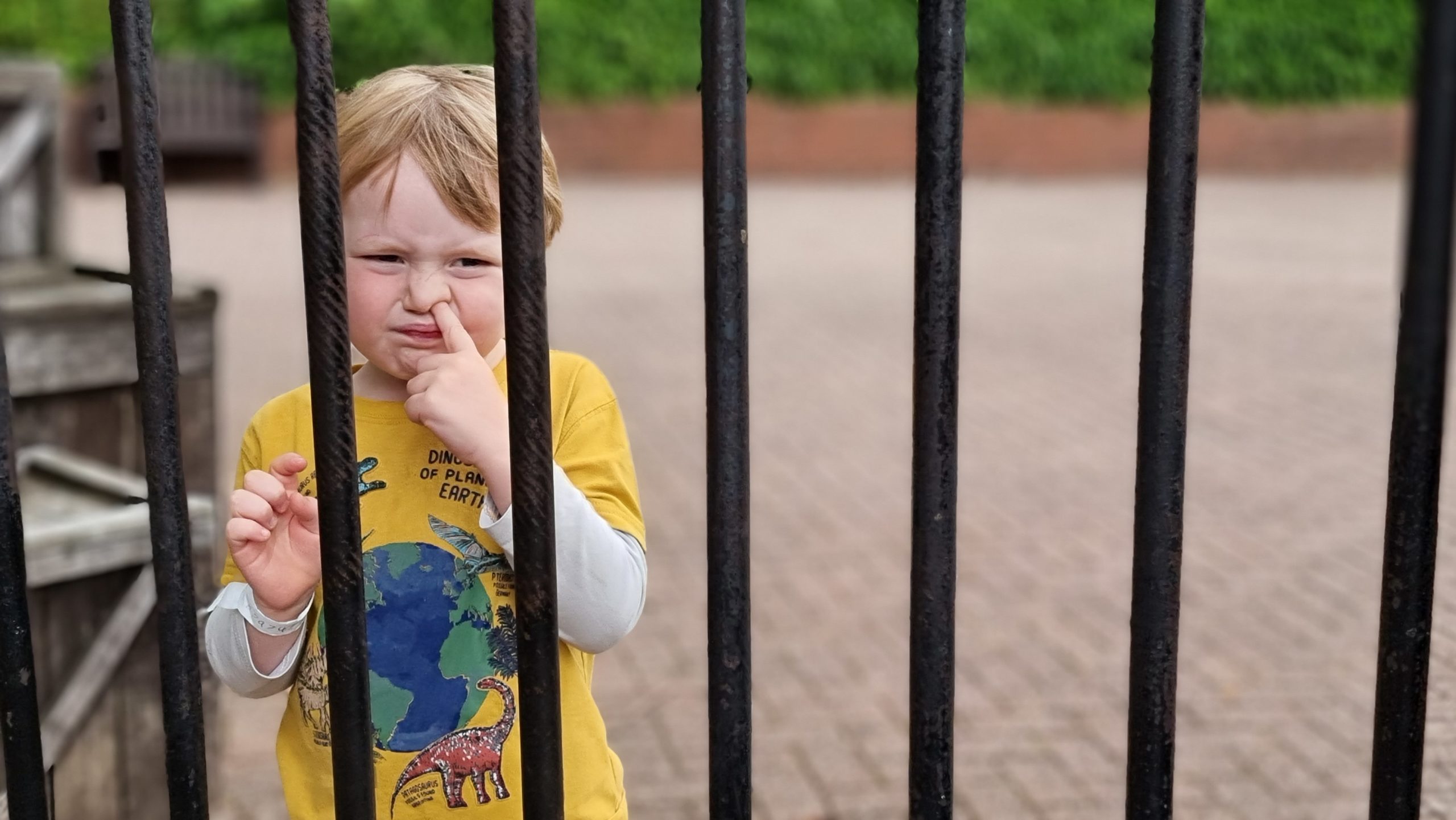 Full image of Imprisoned nose-picker.