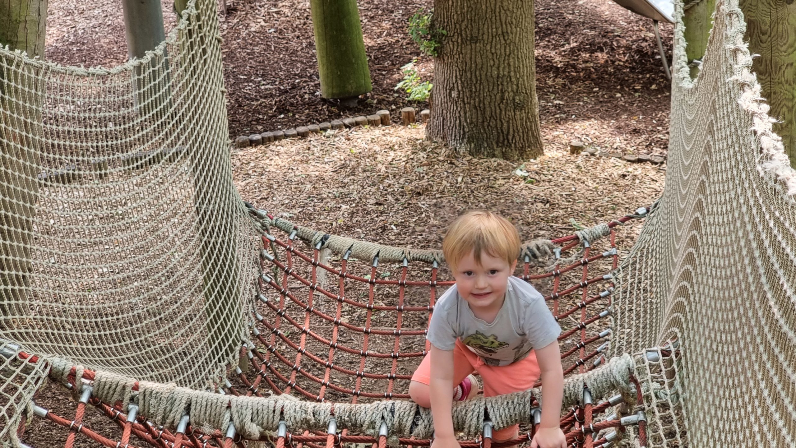 Full image of Rope climbing.