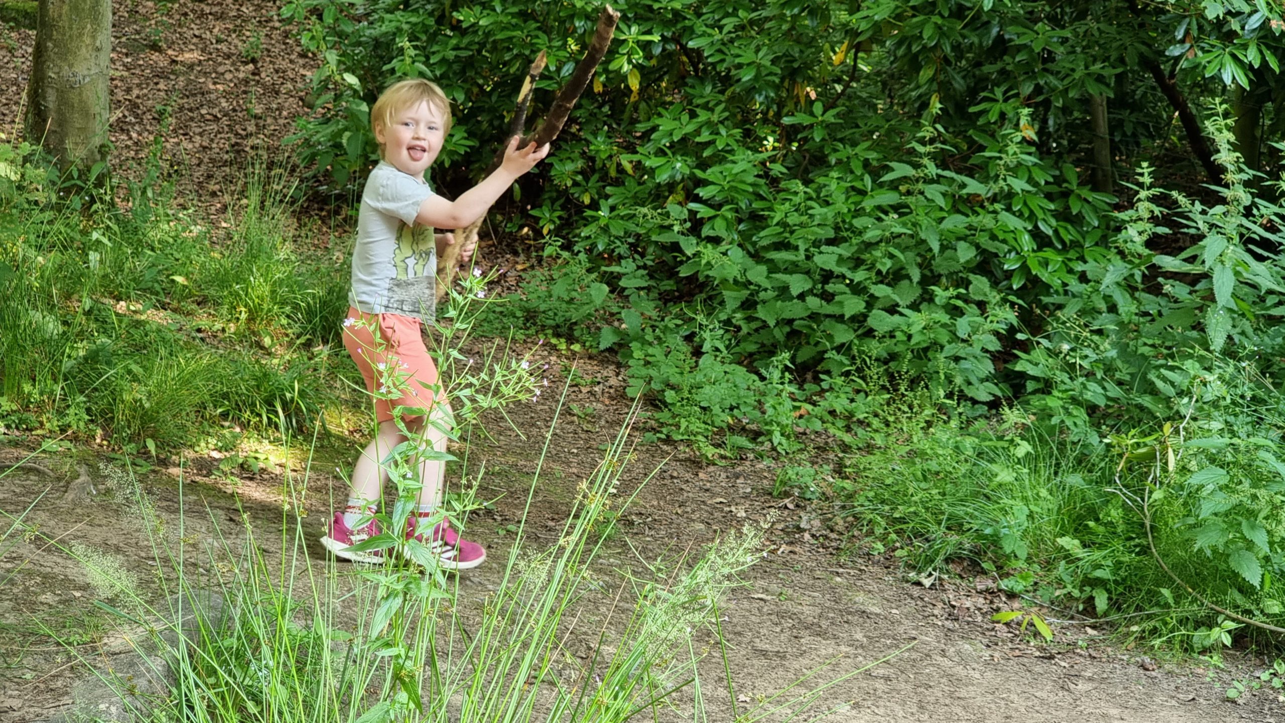 Full image of Kid carrying huge stick.