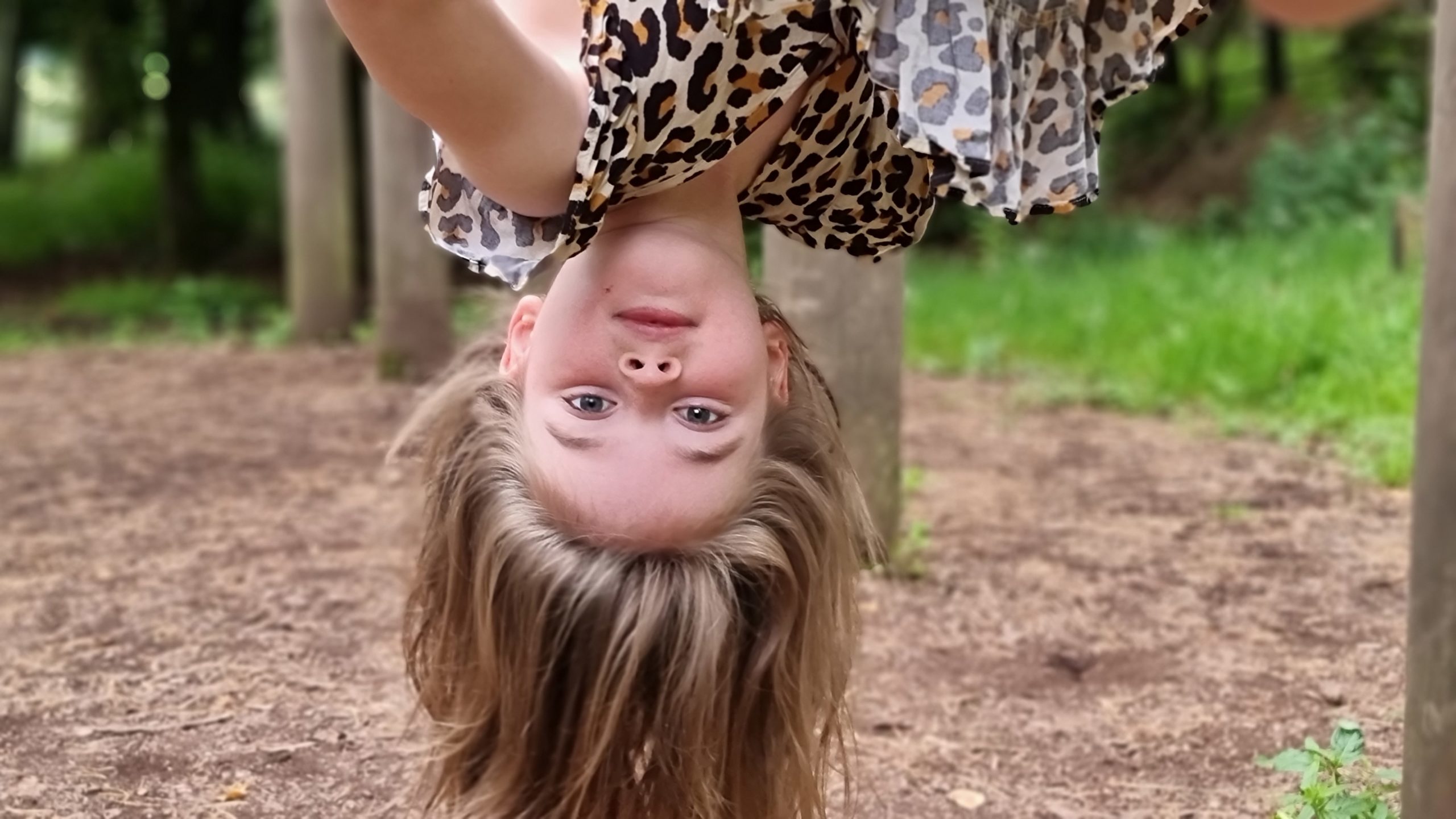Full image of Hanging upside down.