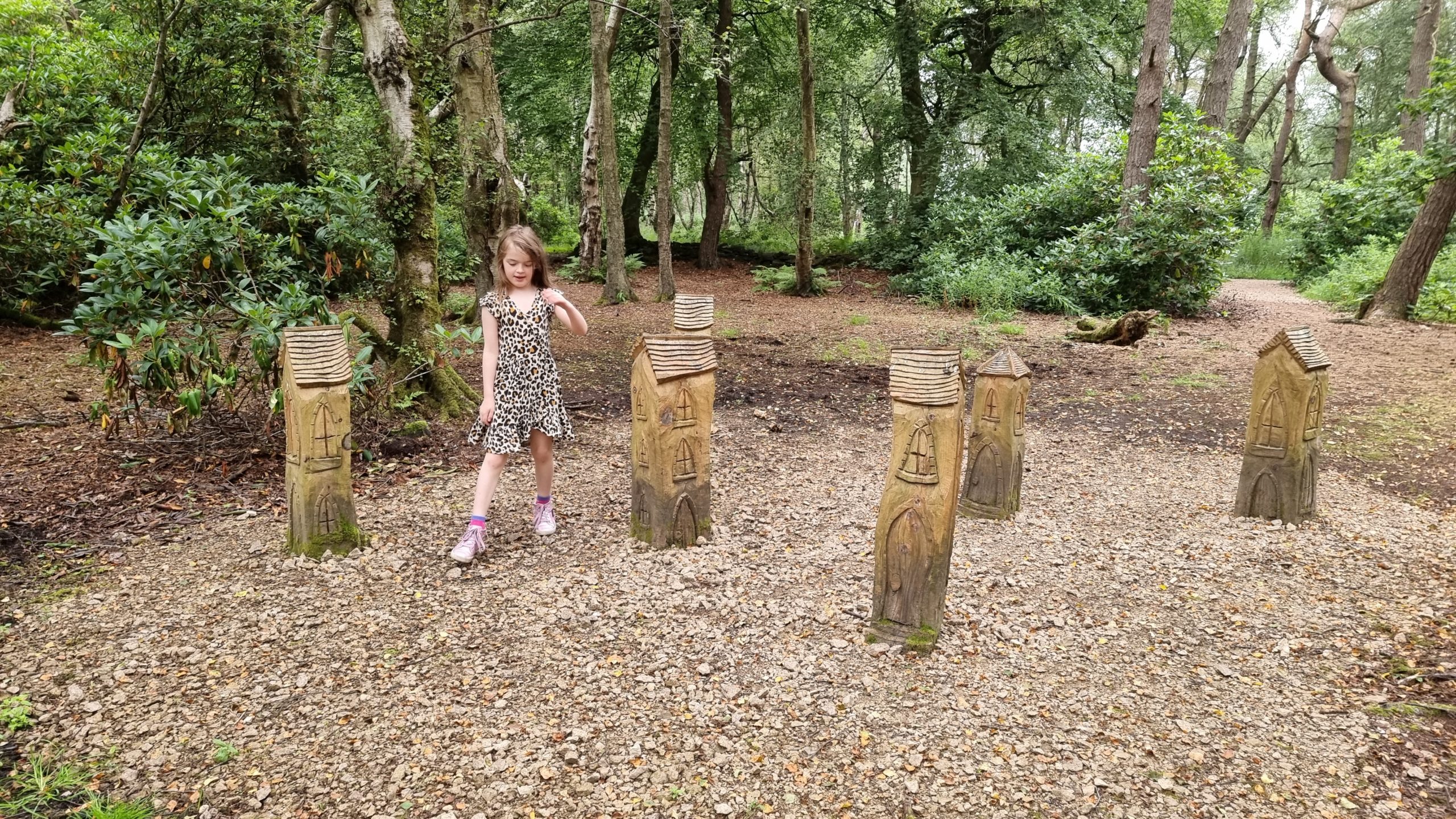 Full image of Fairy houses in a wood.