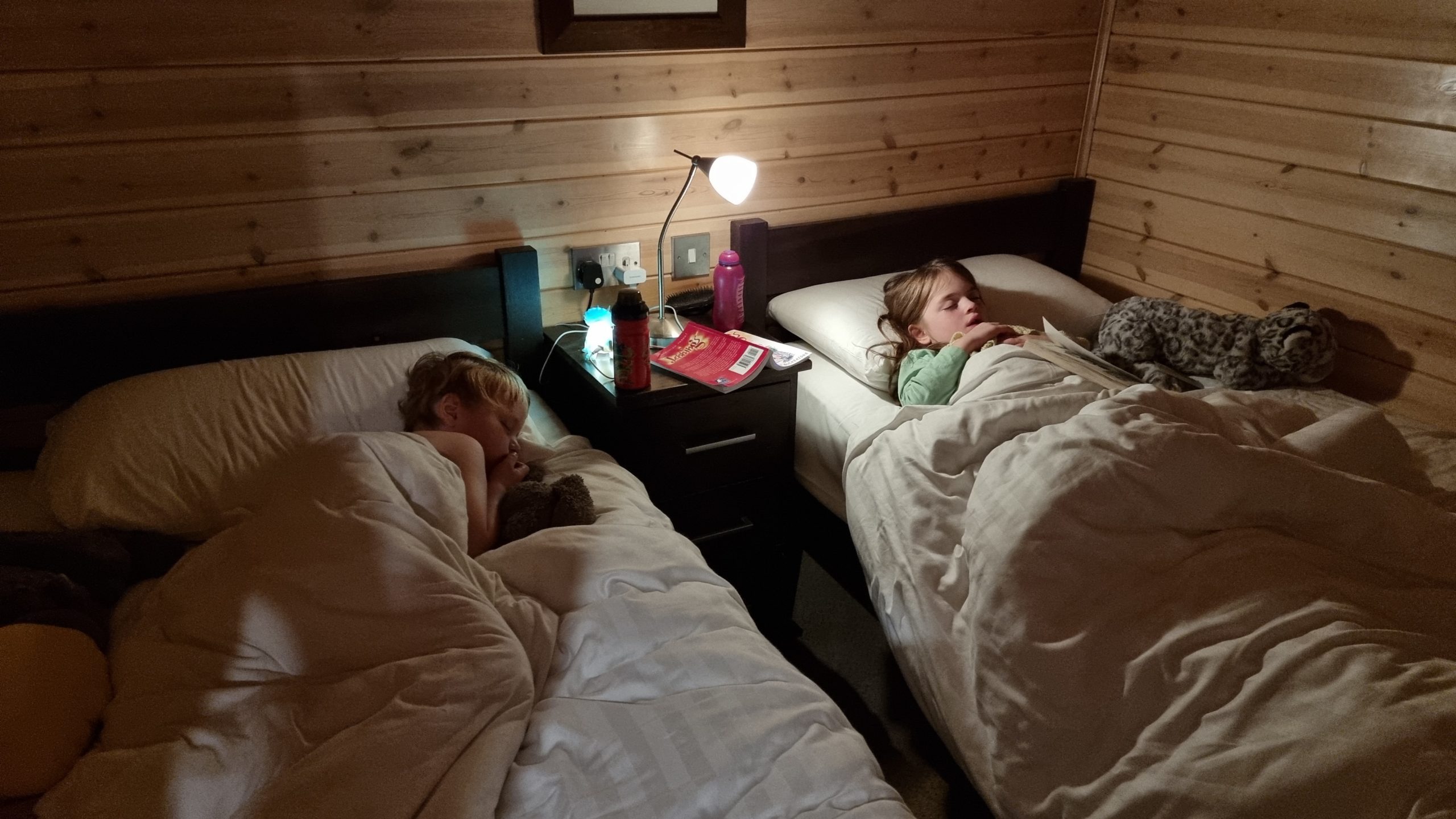 Full image of The kids asleep.