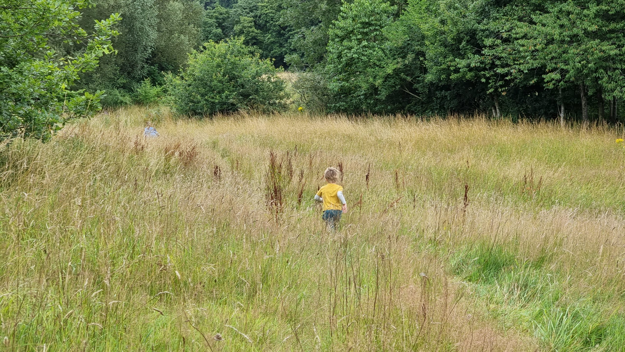 Full image of Children run away into a meadow.