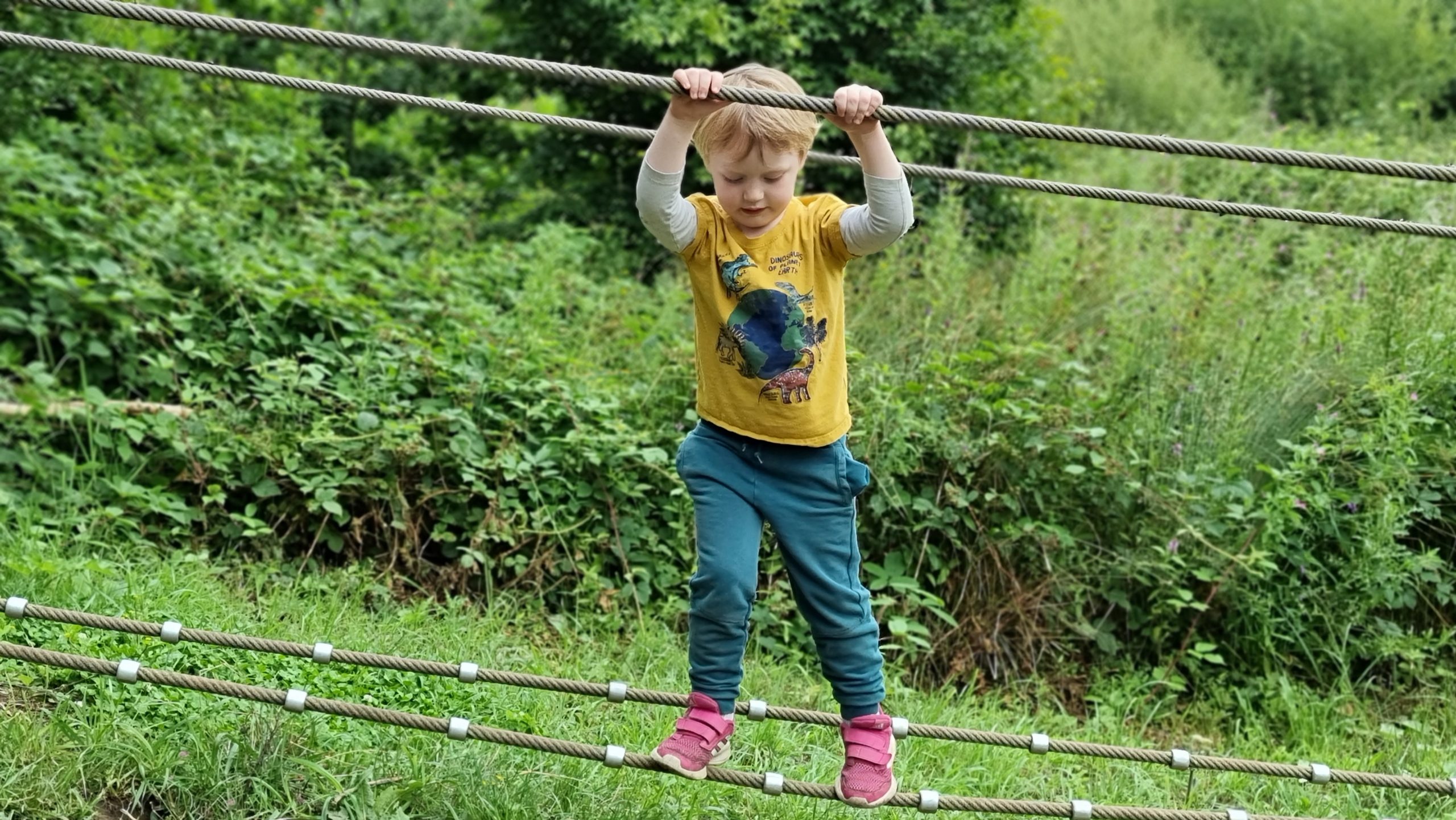 Full image of A boy climbs a two-rope crossing, balancing on the bottom rope while holding the top rope.