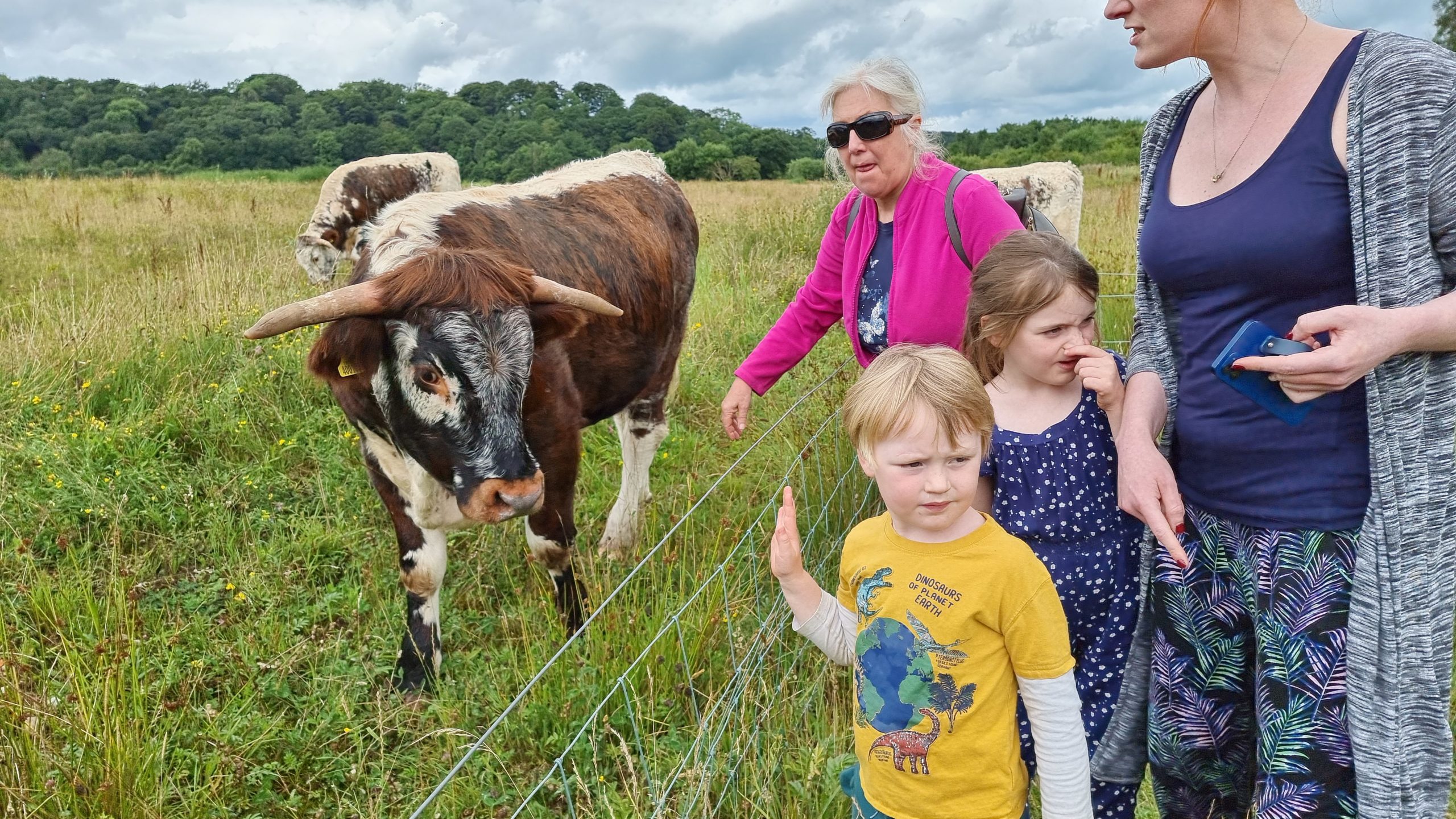Full image of Children petting an English Longhorn cattle.