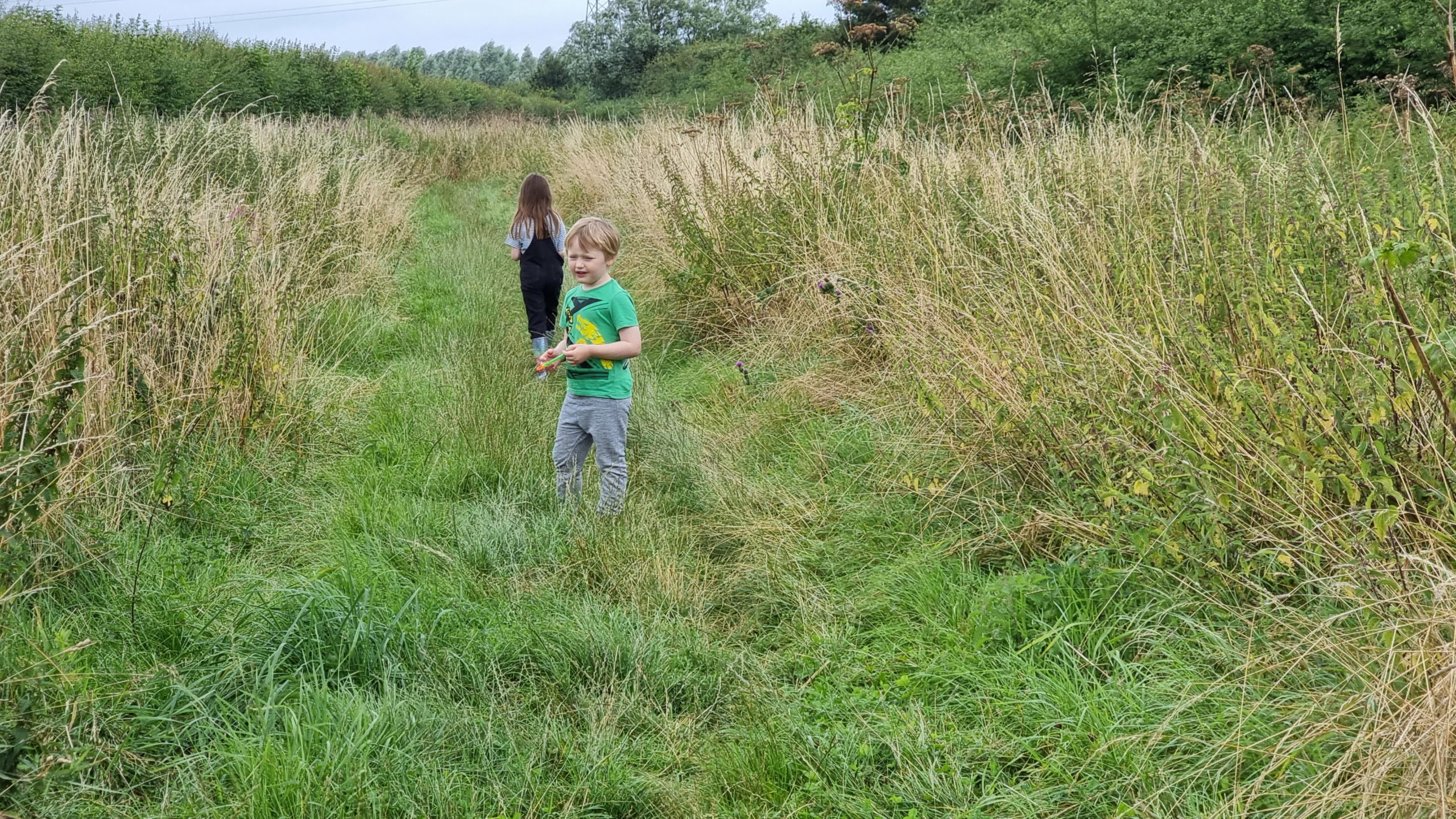 Full image of Children look around a field.