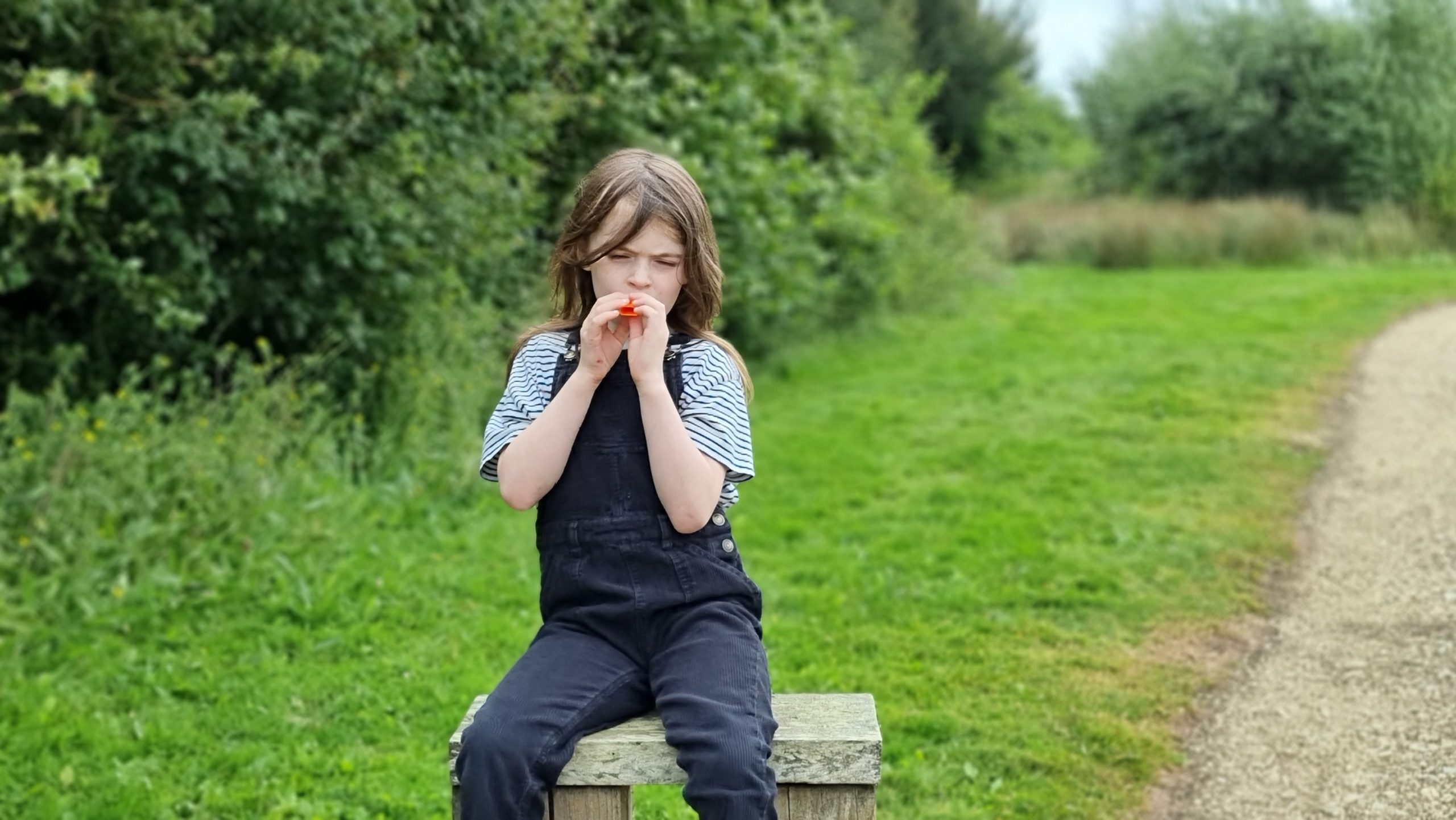 Full image of A girl plays a kazoo.