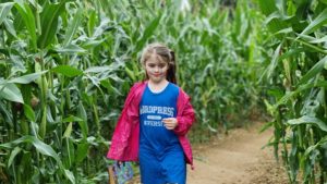 A girl looks lost in a maize maze.