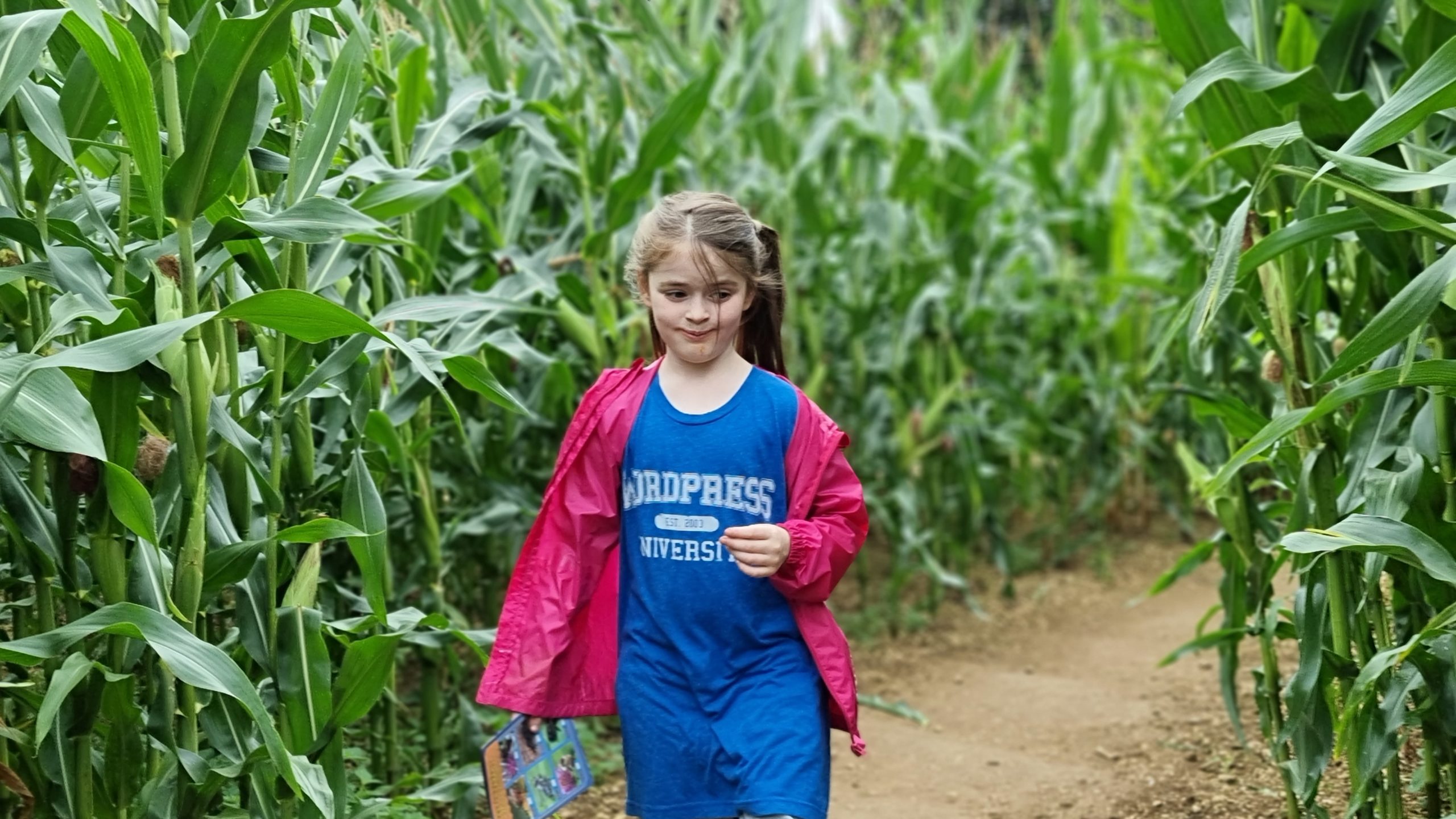 Full image of A girl looks lost in a maize maze.