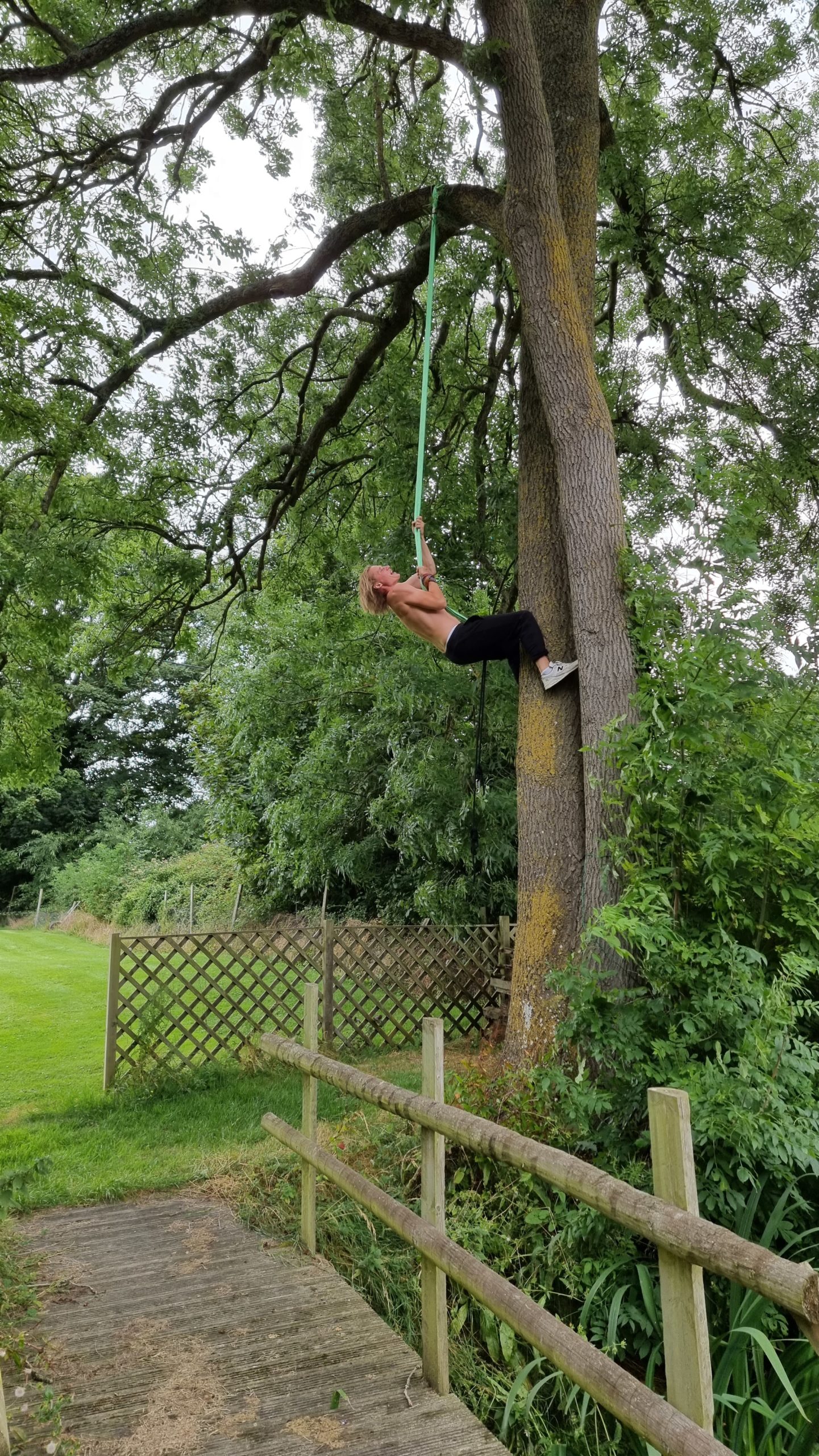 Full image of Robin reverse-abseilling up a tree.